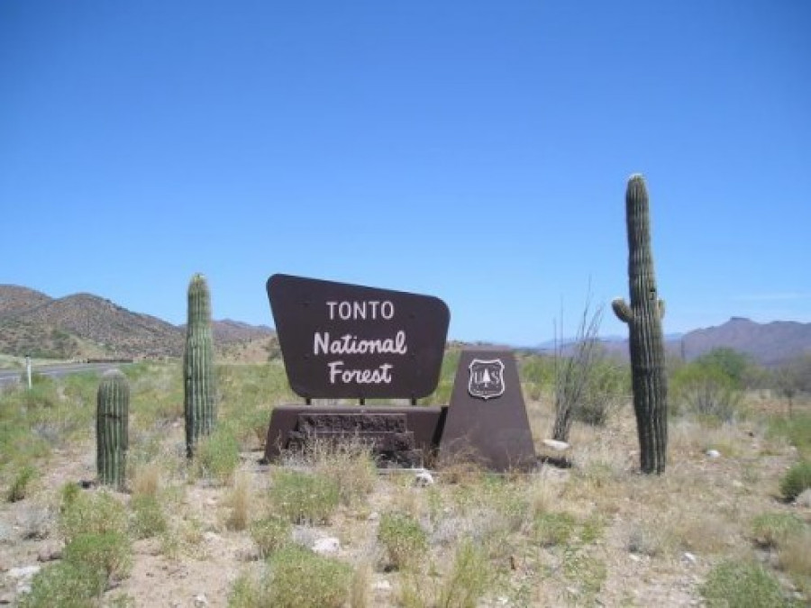 Tonto national forest 24617