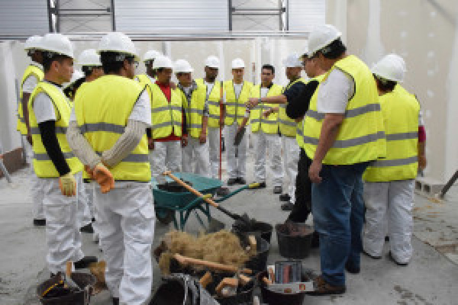 Flc curso 59743