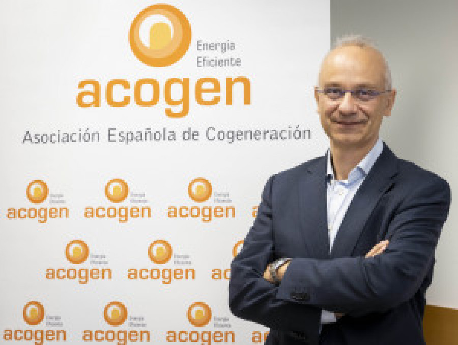 Acogen ruben 58012