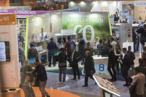 Cr19 ambiente 55662