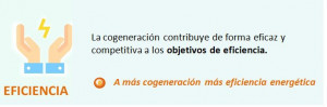 Acogen cogeneracion 54311