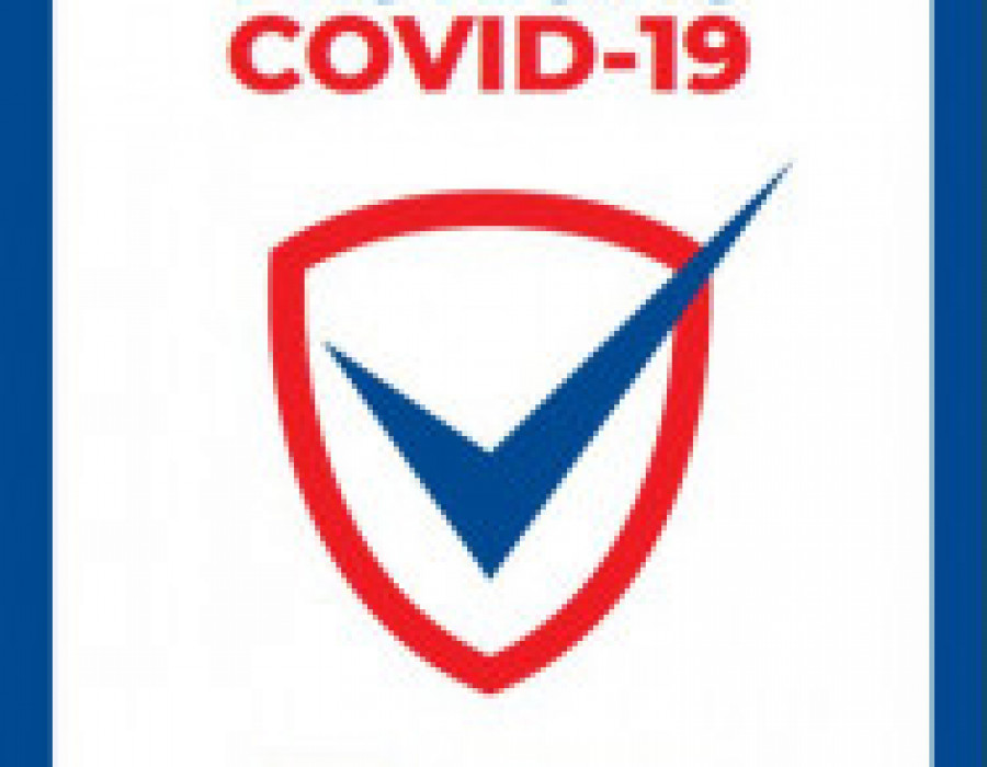 Bigmat covid 54130