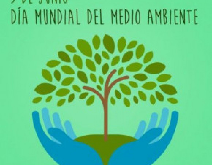 Medio ambiente 53639