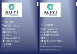 Aefyt cursos 51534
