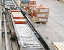 Ascer exportacion 51302