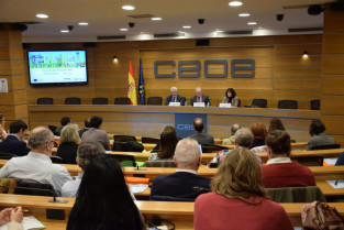 Fundacion bus 48665