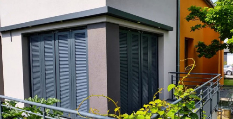 Ehret contraventana 46152