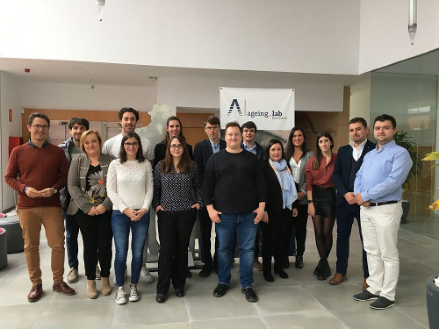 Essense equipo 46011