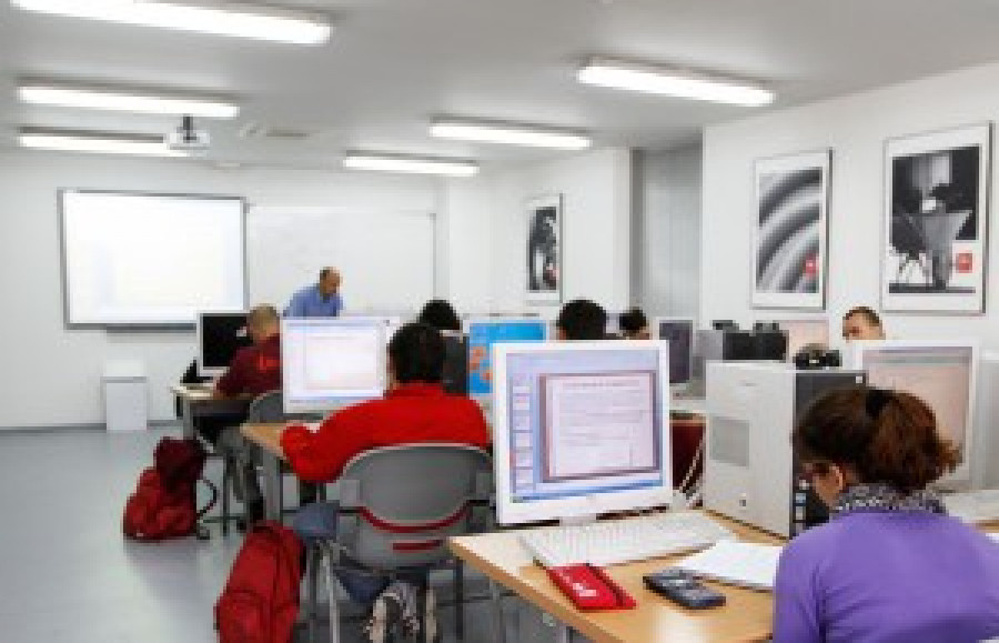 Flc curso 43517