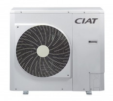 Ereba ciat 41737