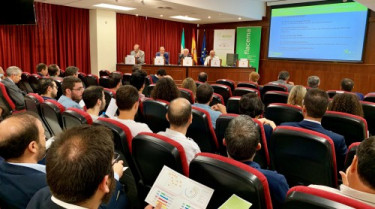 Presentacion informe cerda valorizacion en cementeras 2019 41270