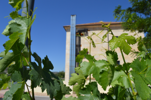 Chimeneavalbuena 41070