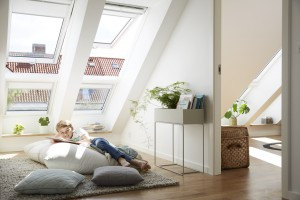 Plan renove 2019 de velux 40906