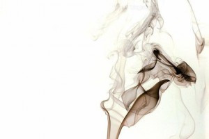Tecnifuego humo 36039