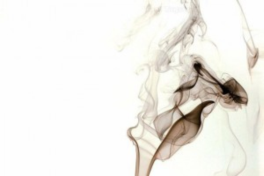 Tecnifuego humo 36039