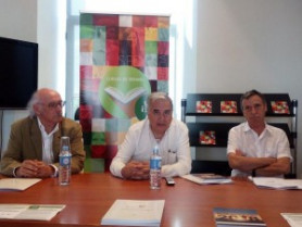 Renovables estudio 34924