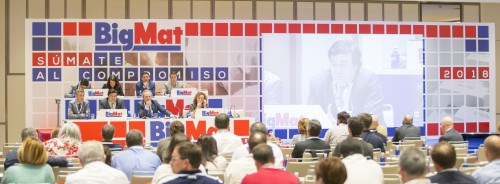 Bigmat junta 34866
