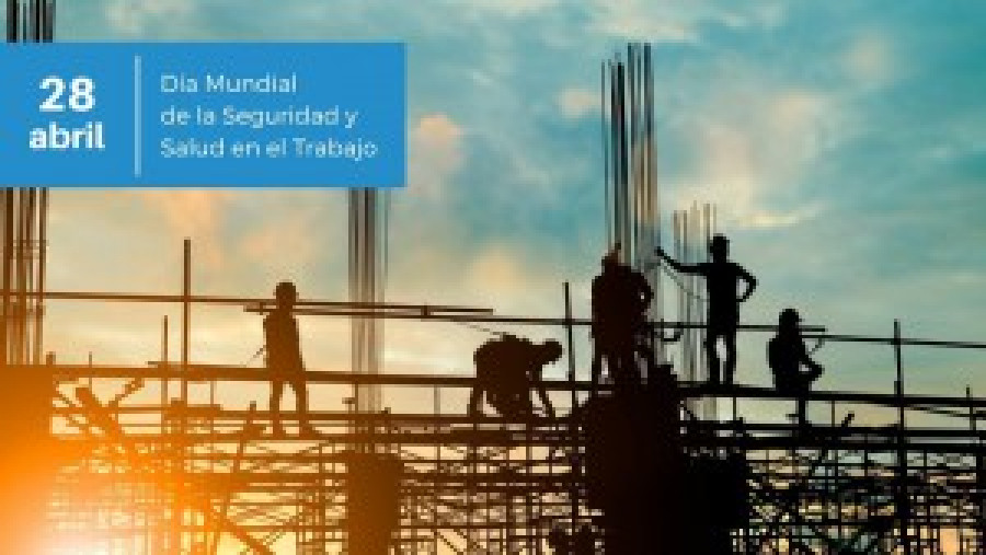 Salud enac 33781
