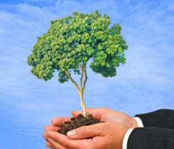 Arbol manos 30413