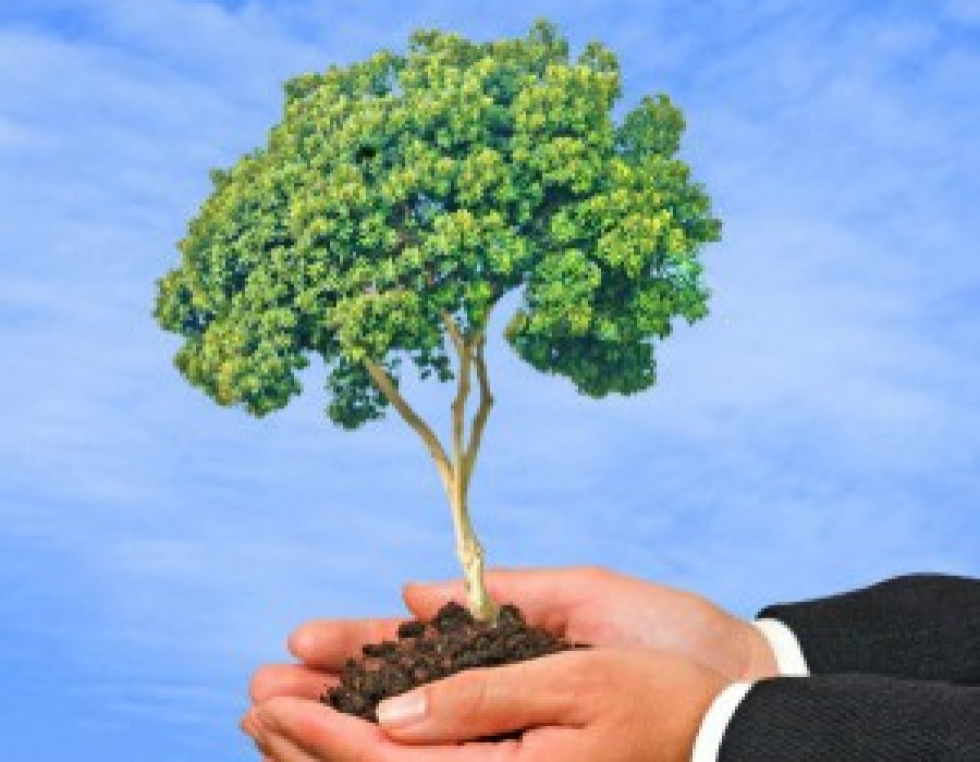 Arbol manos 30413