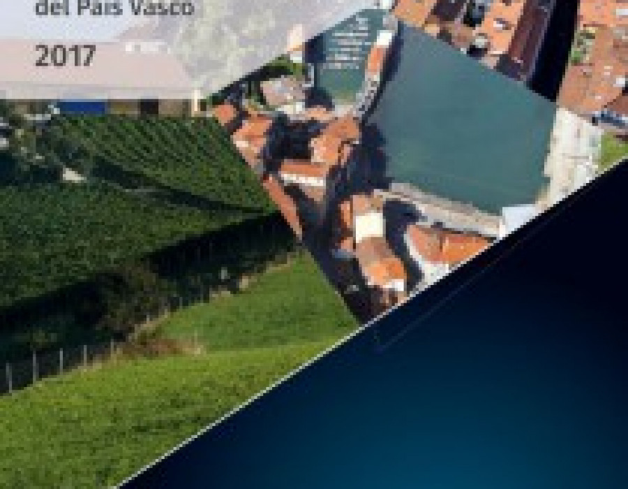 Udalsarea21 indicadores 29400