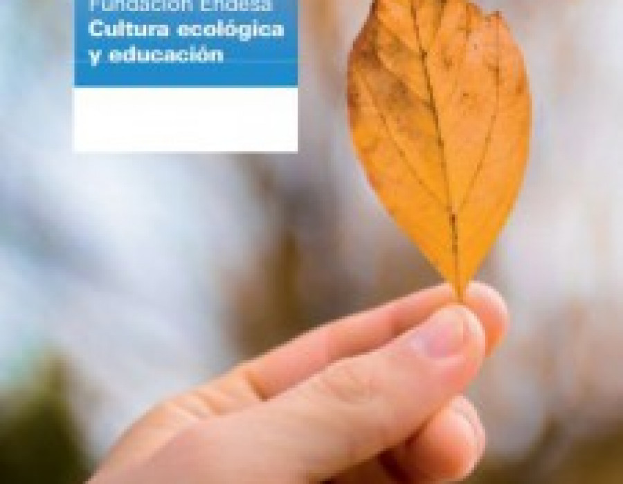 Endesa ecobarometro 26460