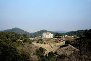 Iaac masia 22423