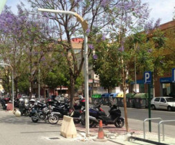 Murcia nuevasfarolas 16126