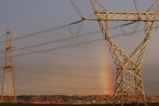 Electricas 22 16119