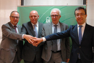 Andalucia jeremie 14800