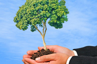 Arbol manos ayudas 123rfl 14916