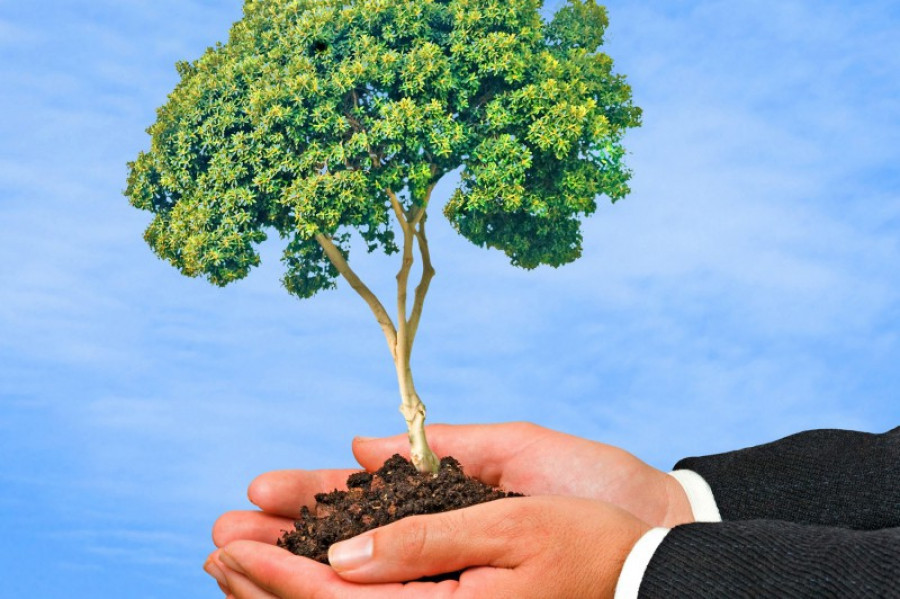 Arbol manos ayudas 123rfl 14916