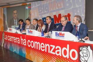 Bigmat junta 14736