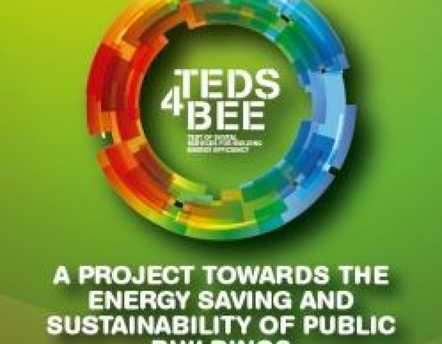Teds4bee b 2016 14588