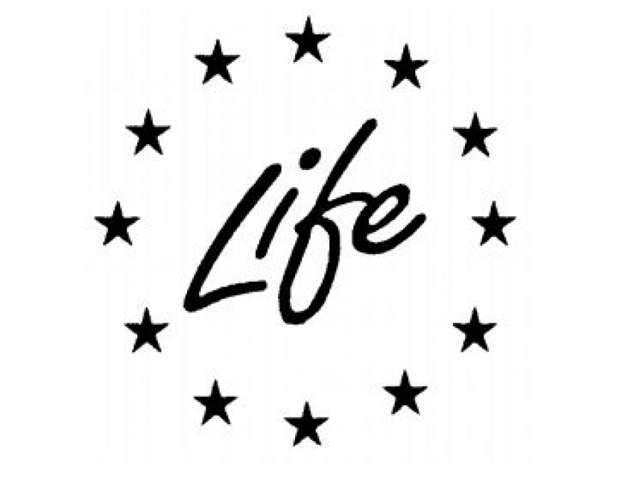 Life2015 b 2015 14575