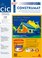 CIC538