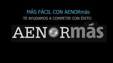 Aenor coleccion 13775