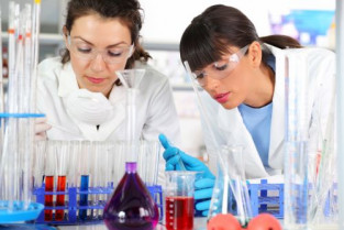 26lab01 b wordpress 12535