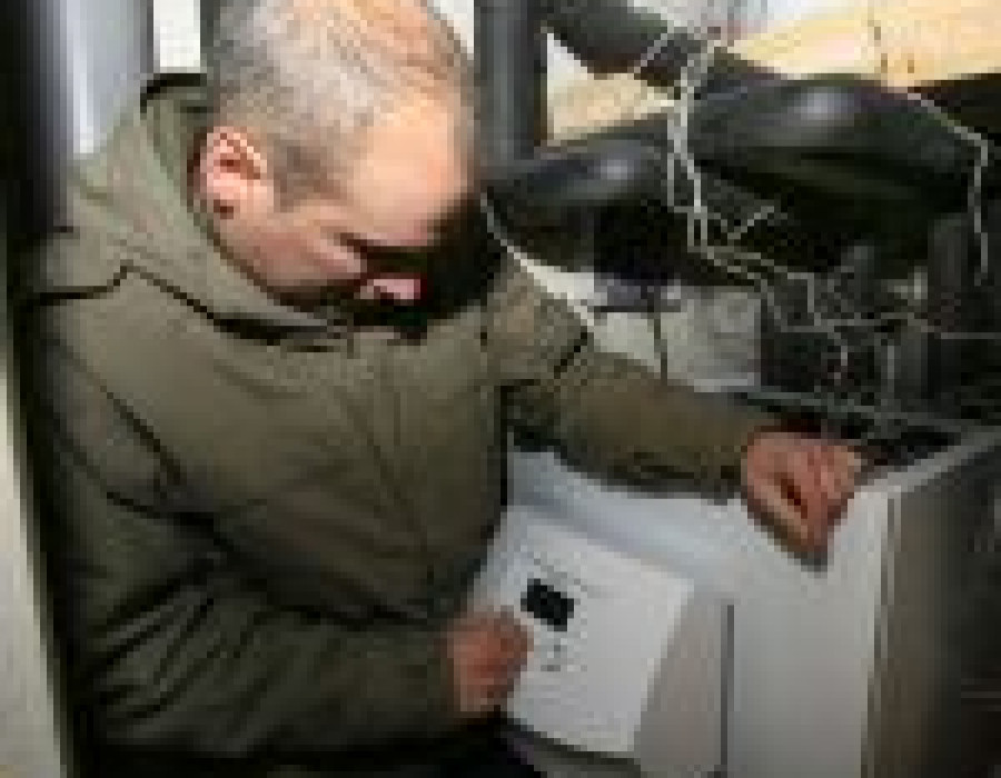 Vaillantguipuzcoabaja 12139