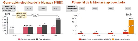 Biomasa informe1