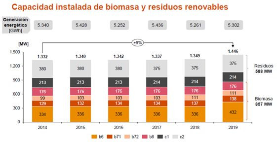 Biomasa informe4