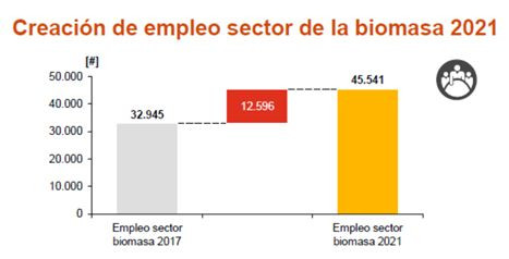 Biomasa informe3