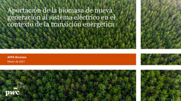 Biomasa portada
