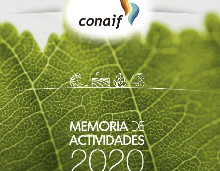 Conaif memoria