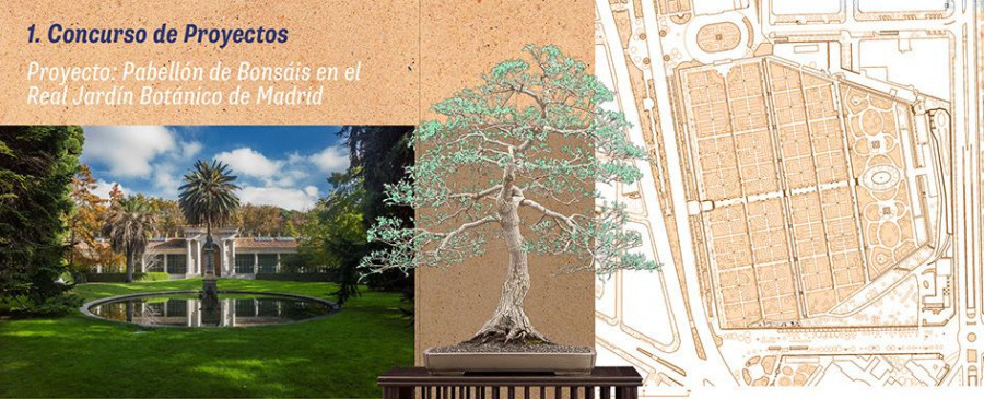 Hispalyt proyectos