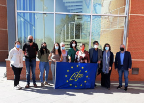 Lifeegg ITC