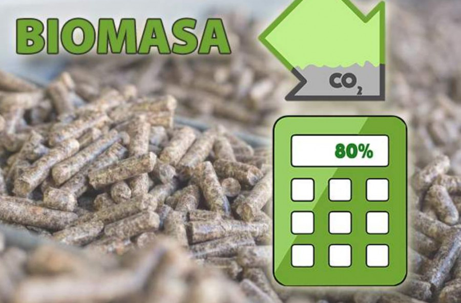 Avebiomidae calculadora