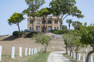 DSC 9819