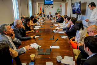 Informe CSCAE ministerio2