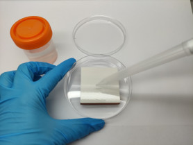 ITC AICE BIOCERAM 2022
